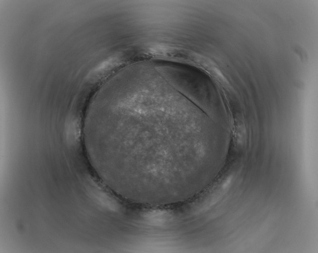 X0000113860593200910081708