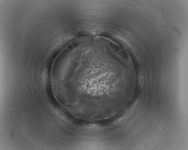 X0000113860594200910081708