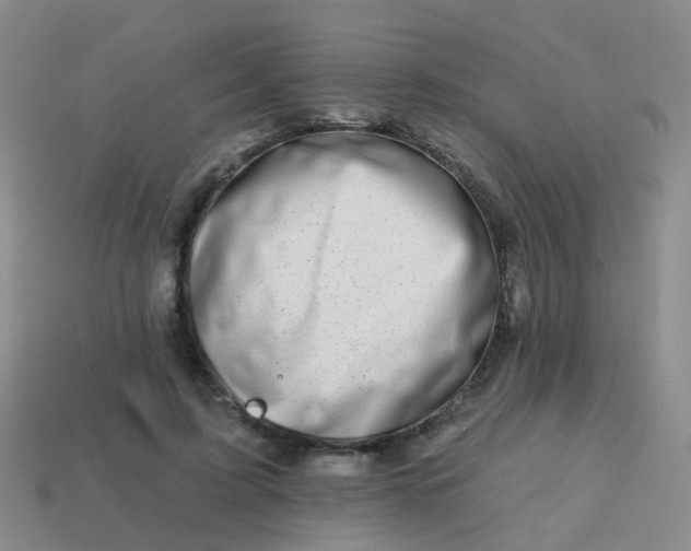 X0000113860595200910081708