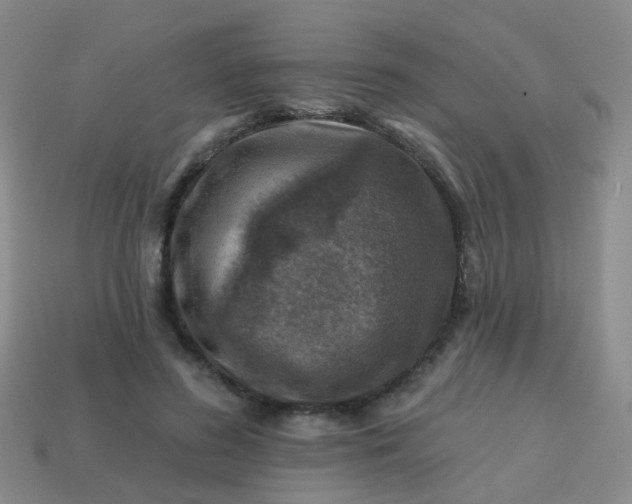 X0000113860596200910081708