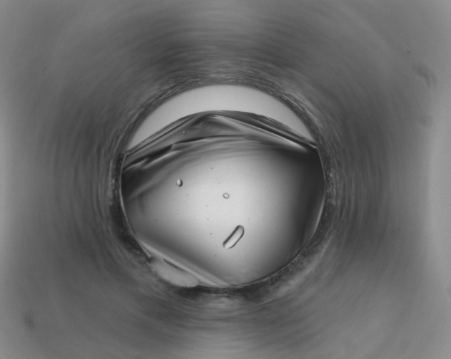X0000113860597200910081708