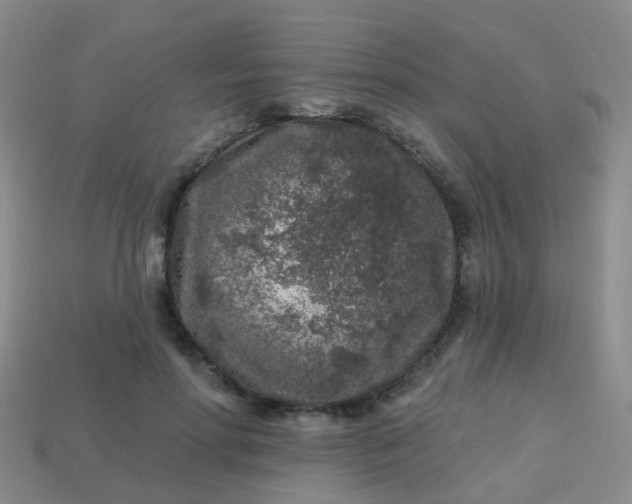 X0000113860598200910081708