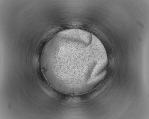 X0000113860599200910081708