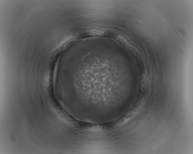 X0000113860600200910081708