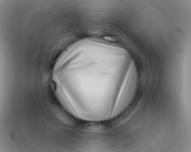 X0000113860601200910081708