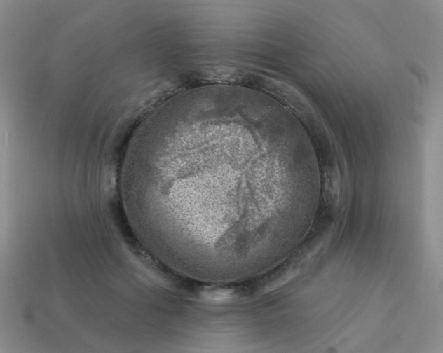 X0000113860602200910081708