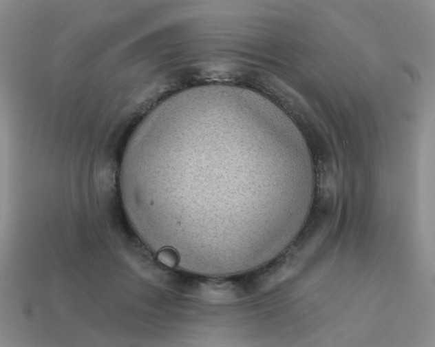 X0000113860603200910081708