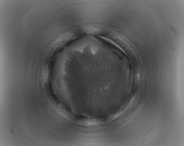 X0000113860604200910081708