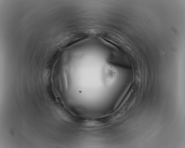 X0000113860605200910081708