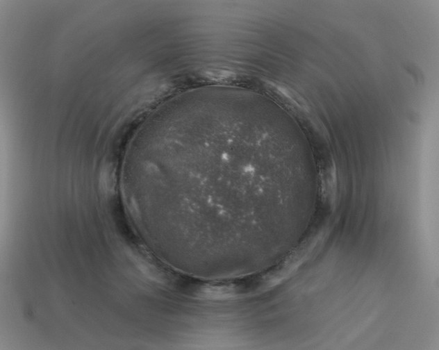 X0000113860606200910081708