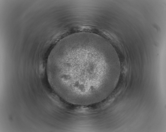 X0000113860607200910081708
