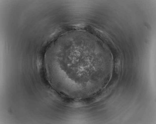 X0000113860608200910081708