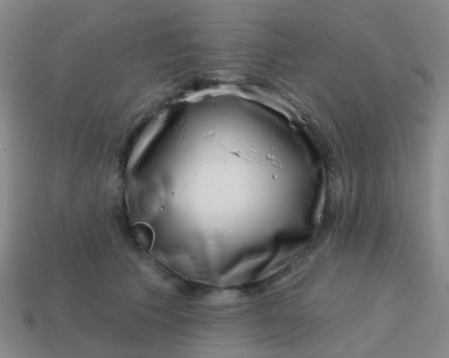 X0000113860609200910081707