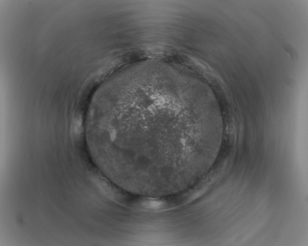 X0000113860610200910081707