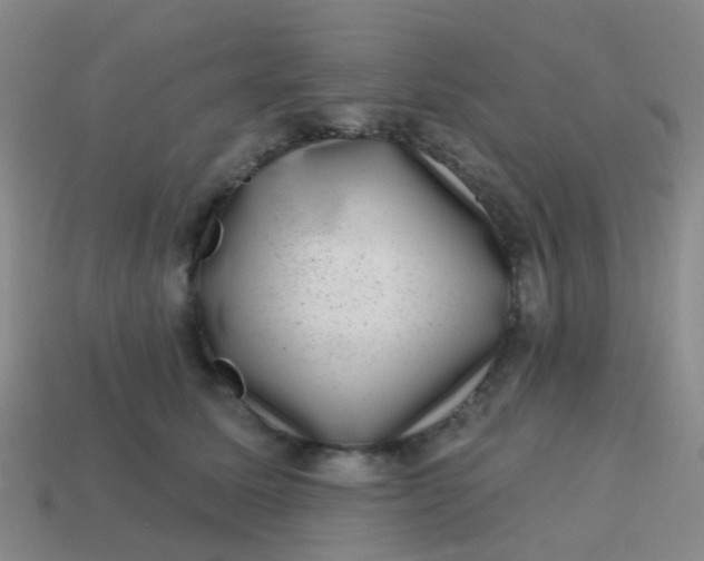X0000113860611200910081707