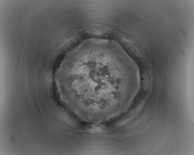 X0000113860612200910081707