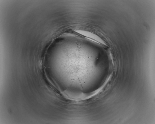 X0000113860613200910081707