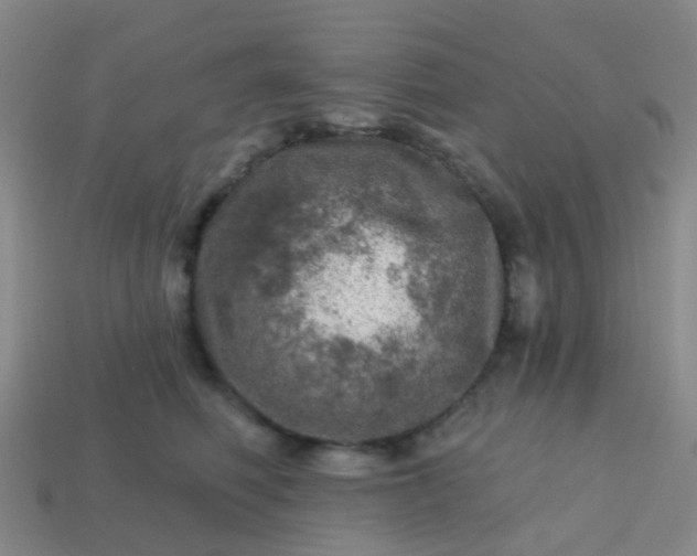X0000113860614200910081707