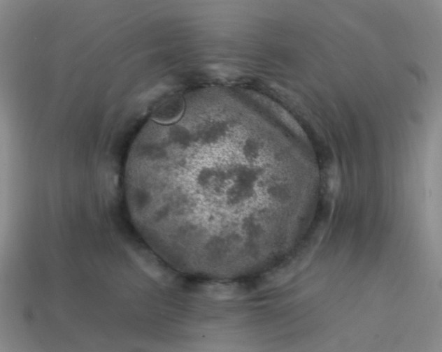 X0000113860615200910081707