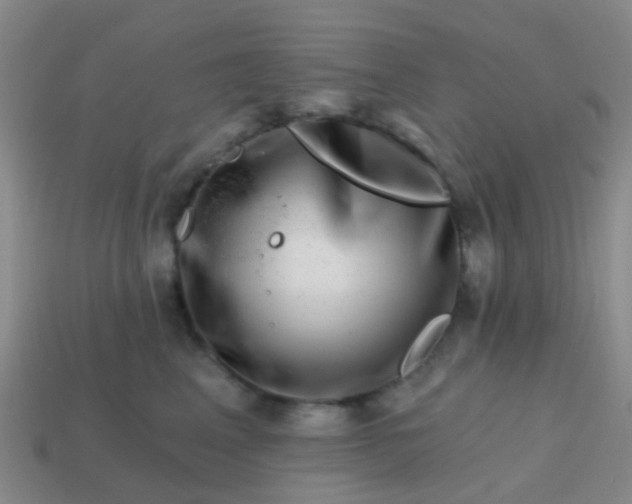 X0000113860617200910081707