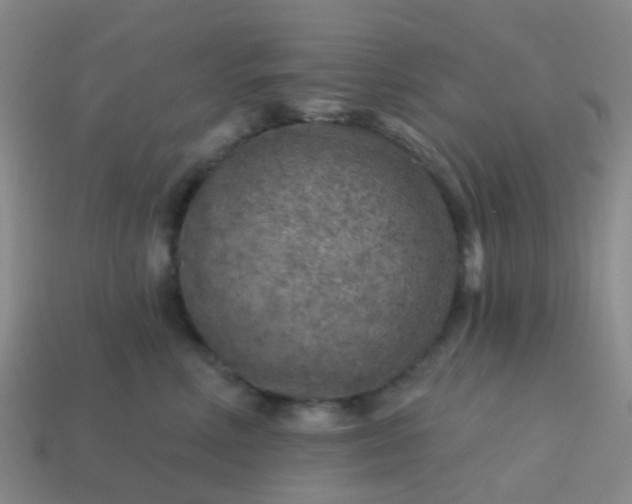 X0000113860618200910081707