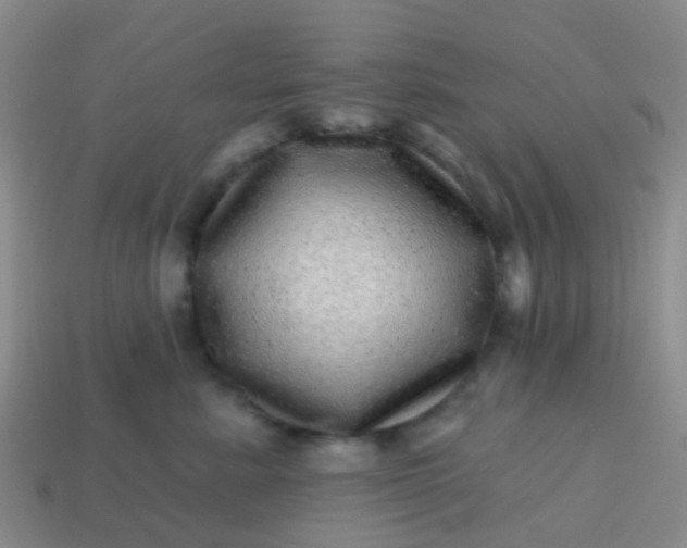 X0000113860619200910081707