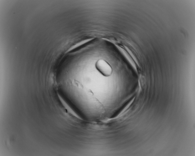 X0000113860621200910081707