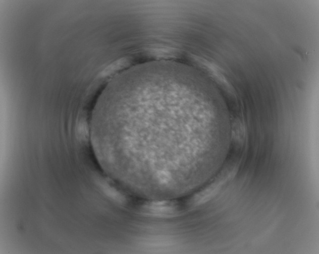X0000113860622200910081707