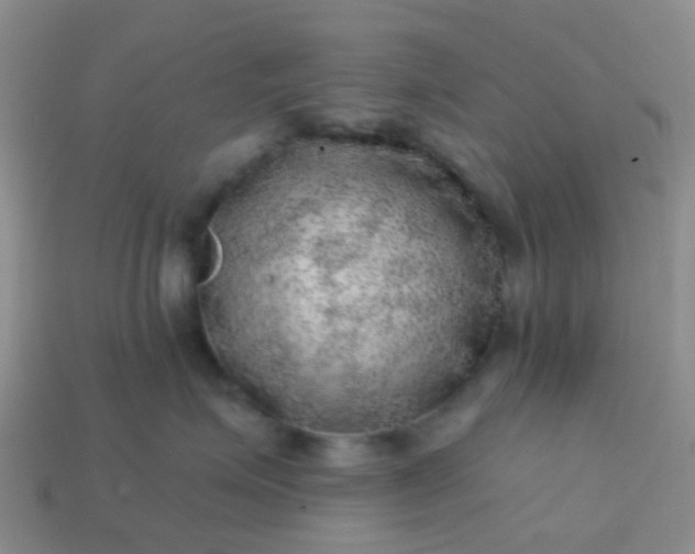 X0000113860623200910081707