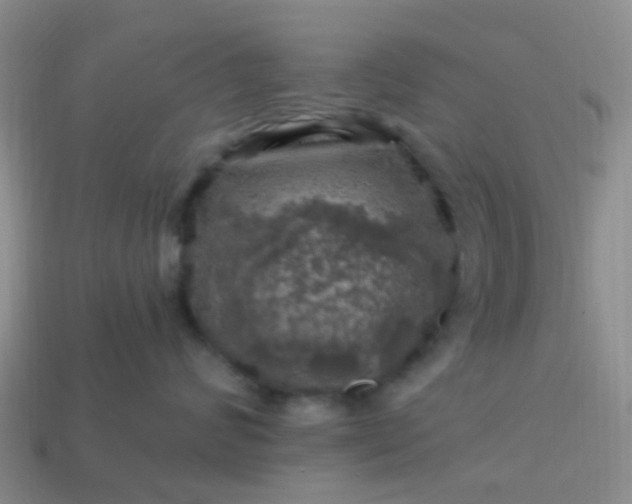 X0000113860624200910081707