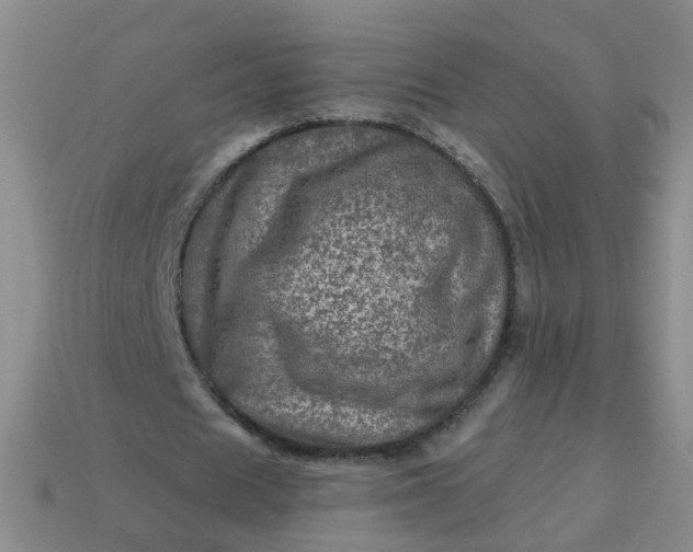 X0000113860625200910081707