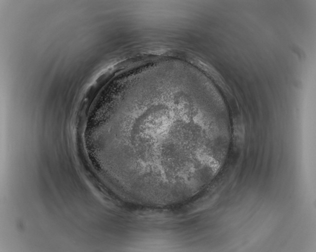 X0000113860626200910081707