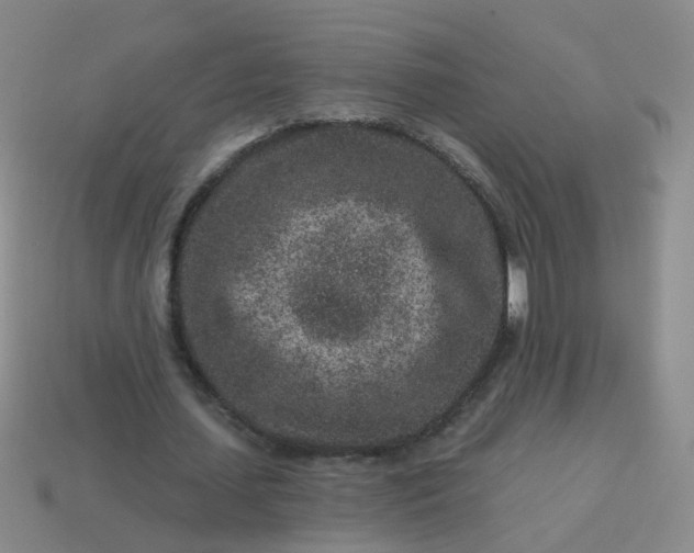X0000113860627200910081707