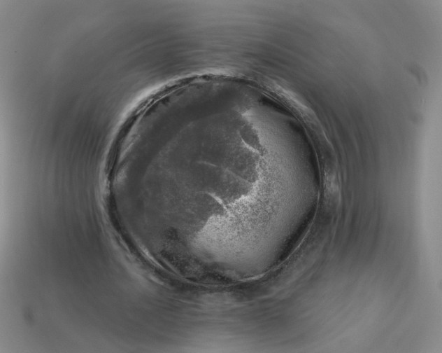 X0000113860628200910081707