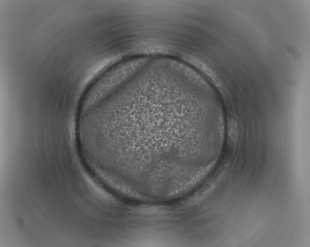 X0000113860629200910081707