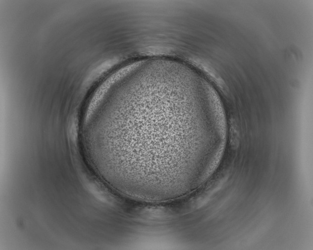 X0000113860631200910081707
