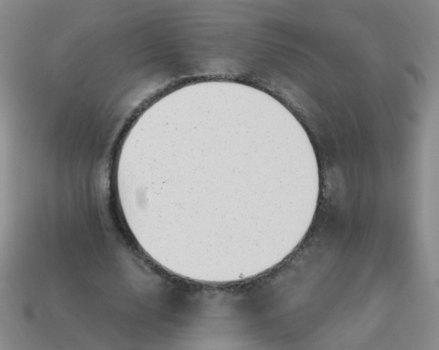 X0000113860632200910081707