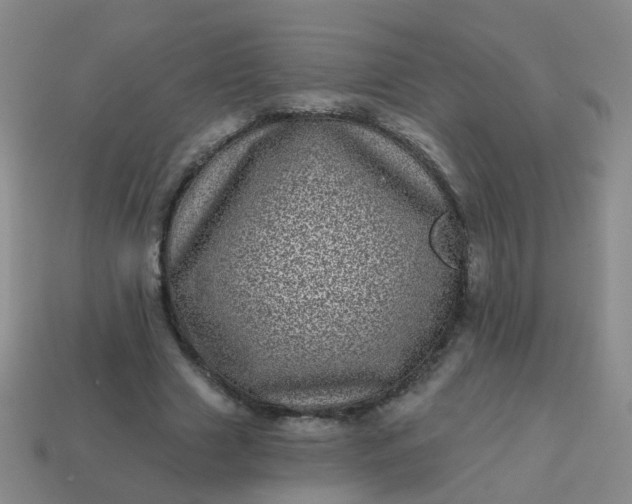 X0000113860633200910081707