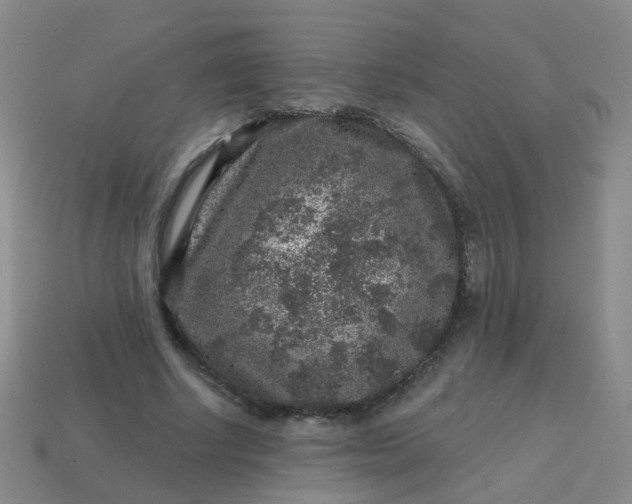 X0000113860634200910081707