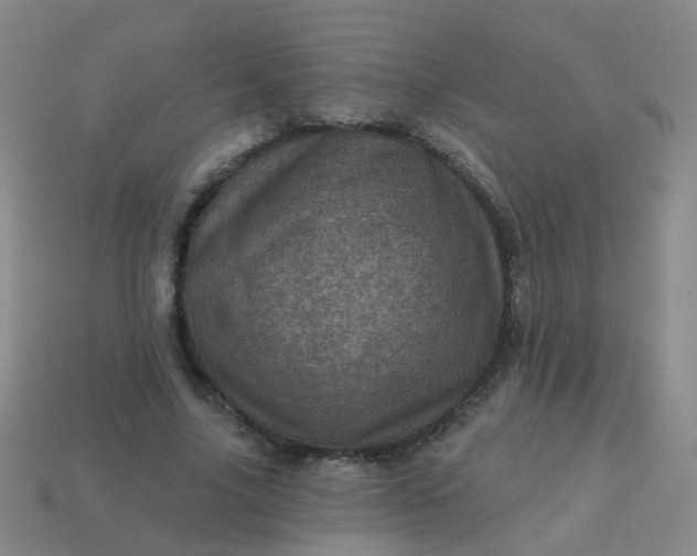 X0000113860635200910081707