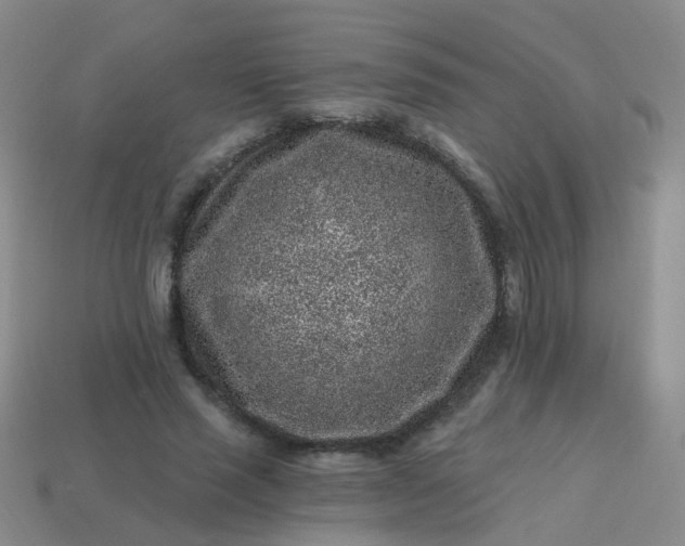 X0000113860637200910081707