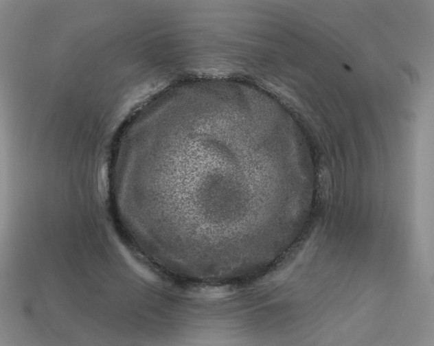 X0000113860638200910081707