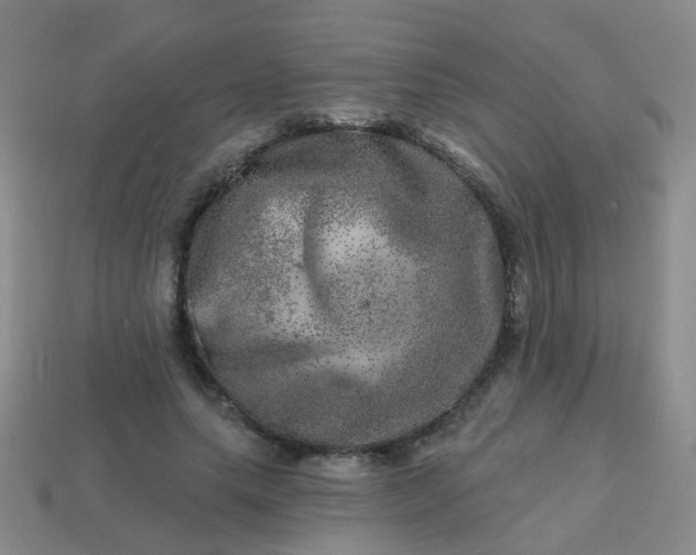 X0000113860639200910081707