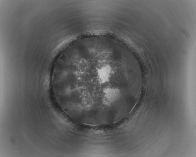 X0000113860640200910081707