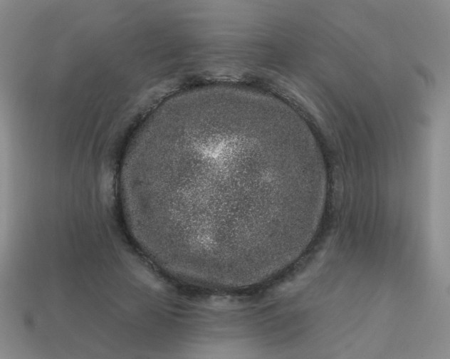 X0000113860641200910081707