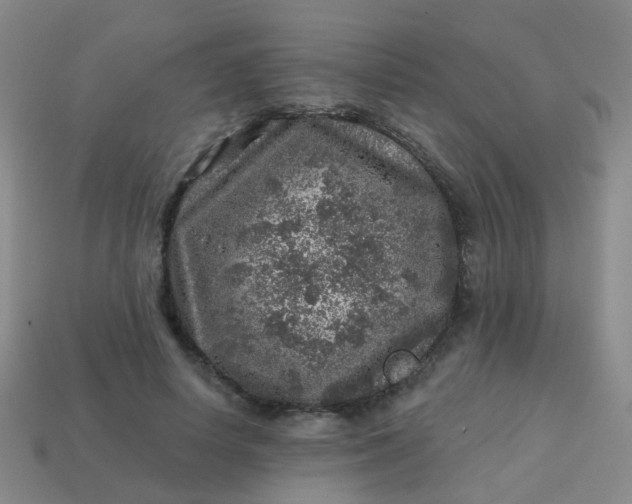 X0000113860642200910081707