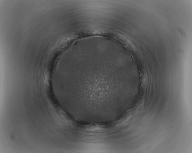 X0000113860643200910081707