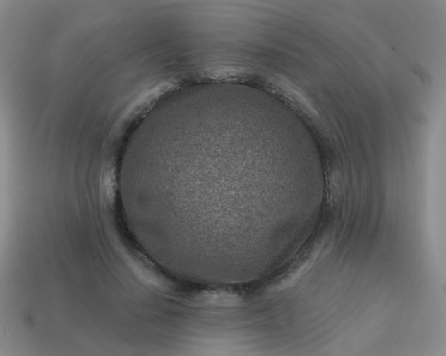 X0000113860644200910081707