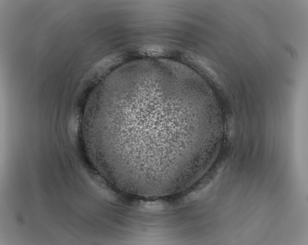 X0000113860645200910081707