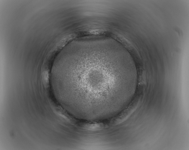 X0000113860646200910081707